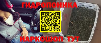 тгк Новокубанск